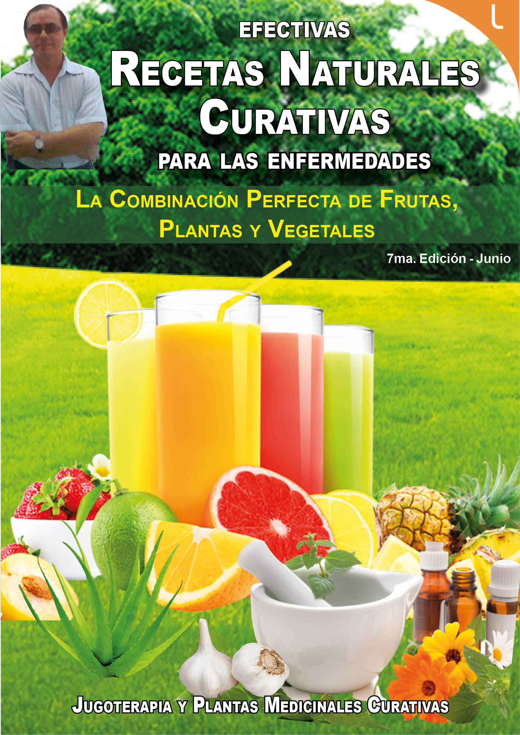 Recetas Naturales Curativas Pdf Gratis Dirzon 6773