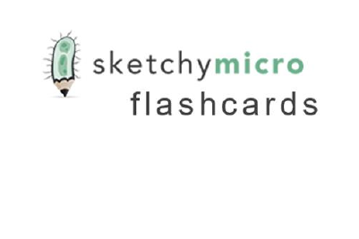 sketchy micro flashcards