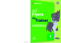 A2_flyers_mini_trainer.pdf