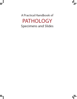 A_Practical_Handbook_of_Pathology.pdf