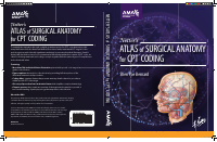 Atlas Of Surgical Anatomy For Cpt Coding.pdf - Dirzon