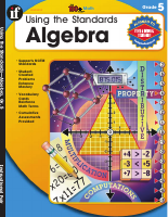 Using The Standards Algebra 5.pdf - dirzon