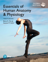 Pearson_Essentials_of_Human_Anatomy.pdf - dirzon