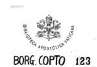 Borg.copt.123.pdf