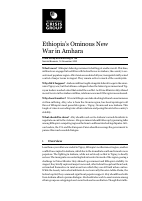 b194-ethiopia-new-war-amhara_0.pdf