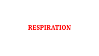 6.RESPIRATION.pptx